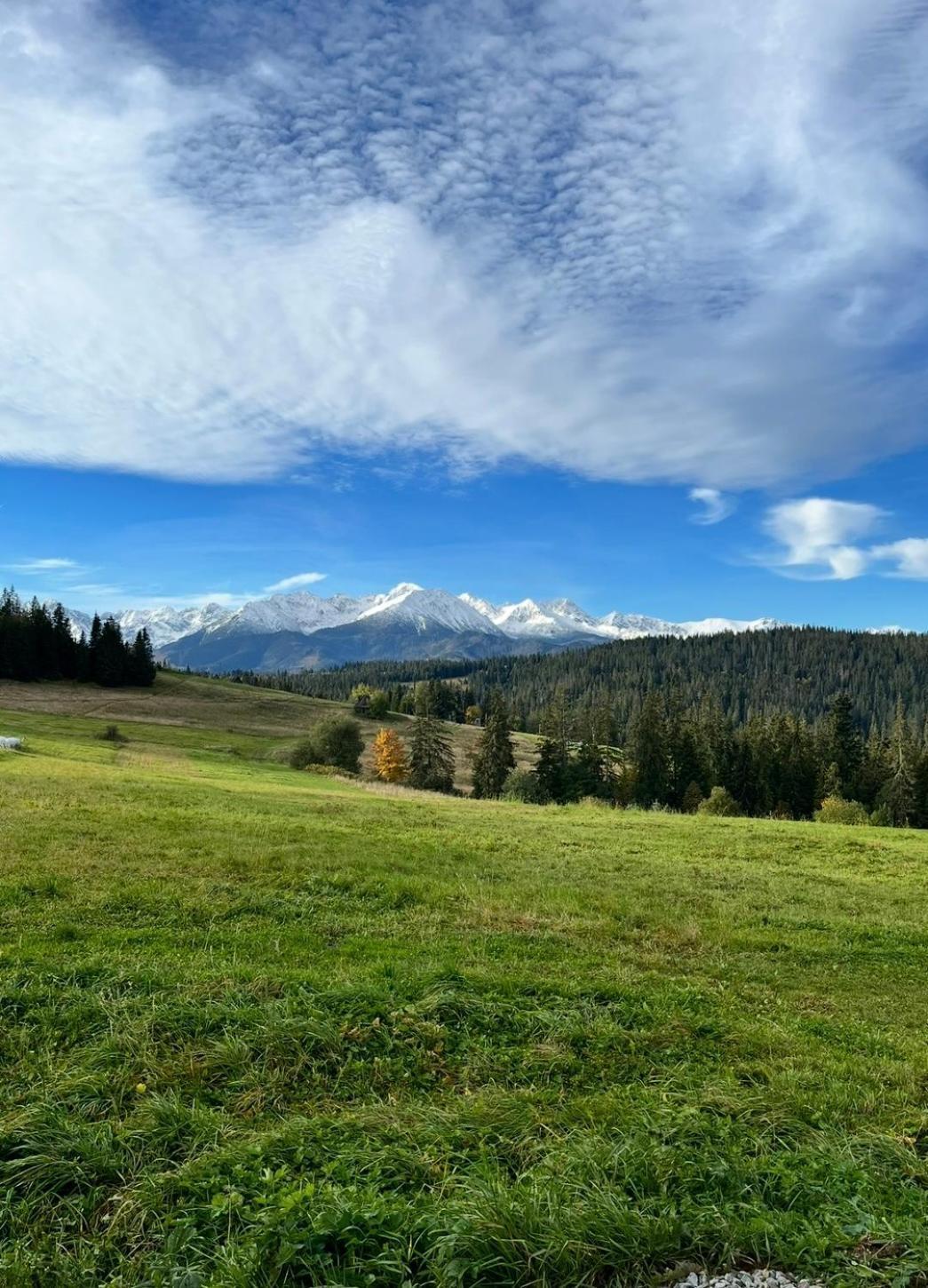 Апартаменты Tatra Widok Буковина-Татшаньска Экстерьер фото
